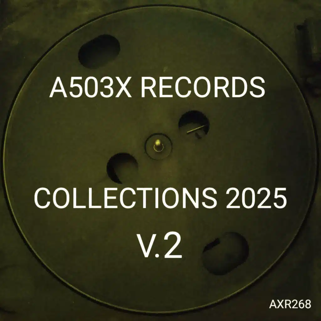 A503X RECORDS COLLECTIONS 2025 V.2