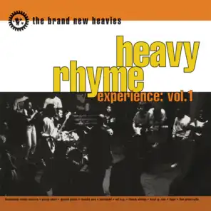 Heavy Rhyme Experience: Vol.1