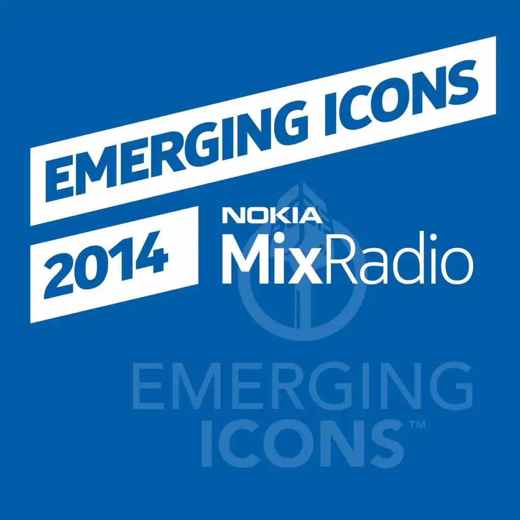 Emerging Icons 2014