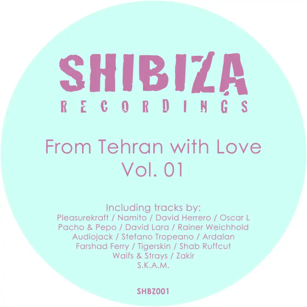 Meatballs (David Herrero Ole Remix)