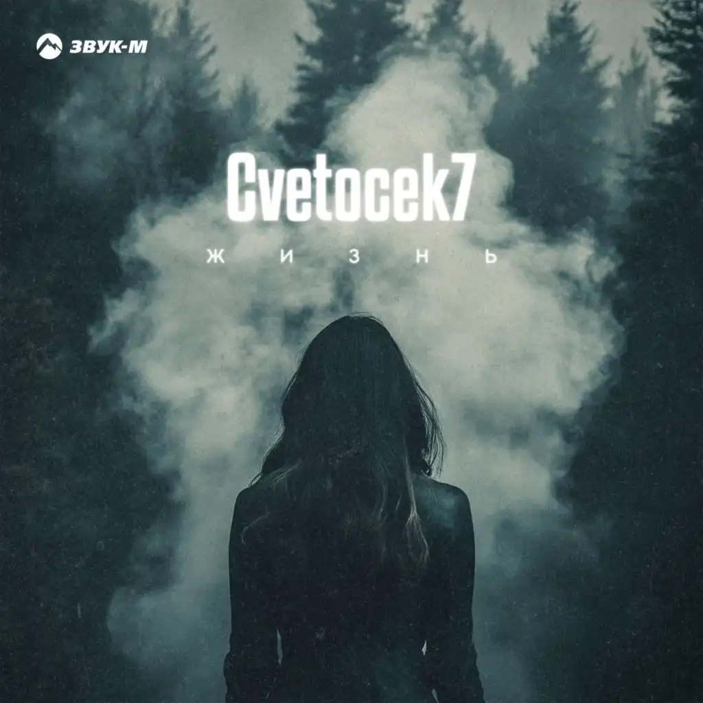 Cvetocek7