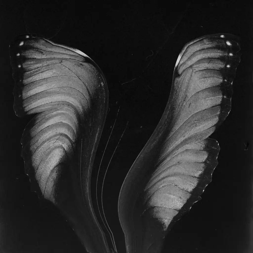 كل شي صار (feat. Netam)