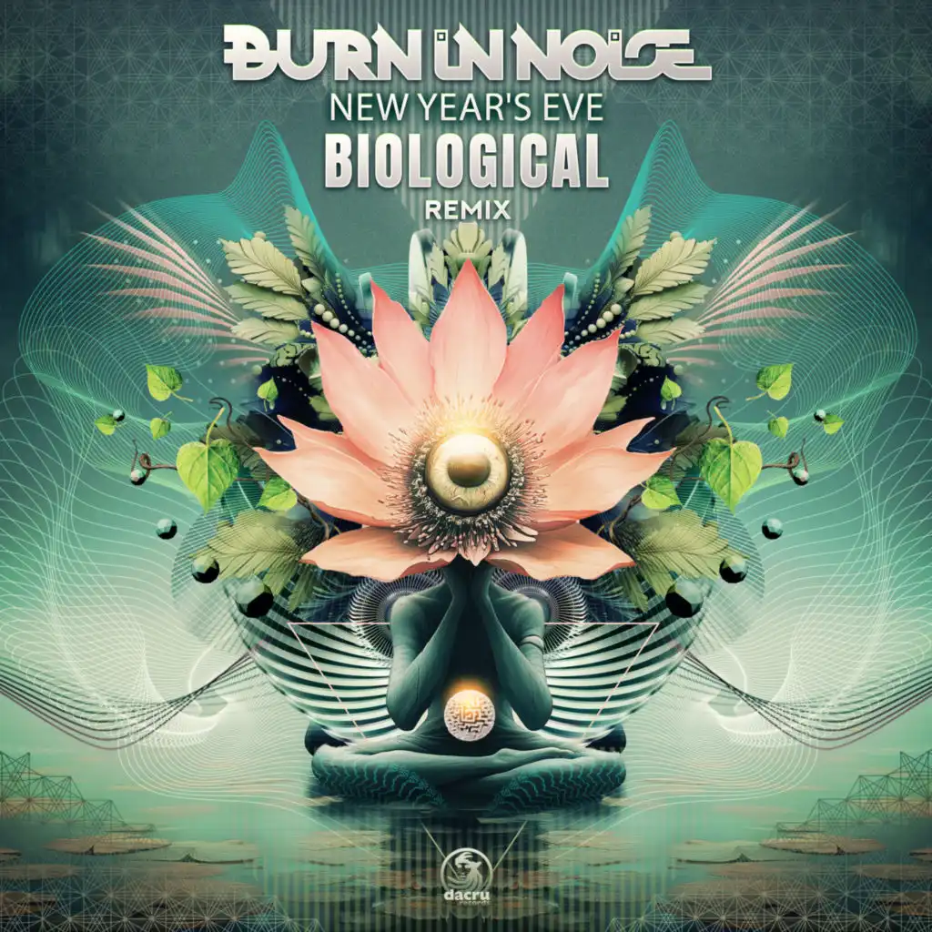 Burn In Noise