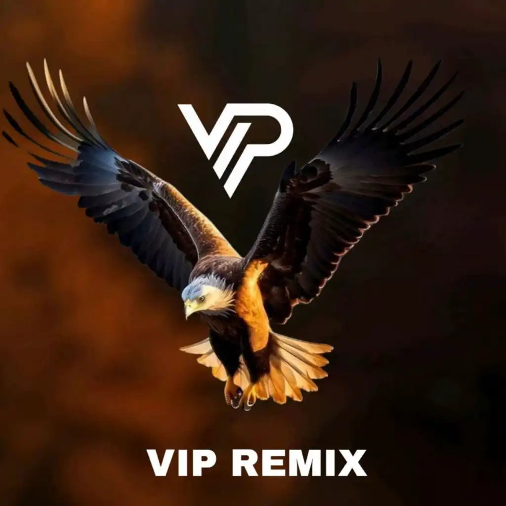 Vip Remix