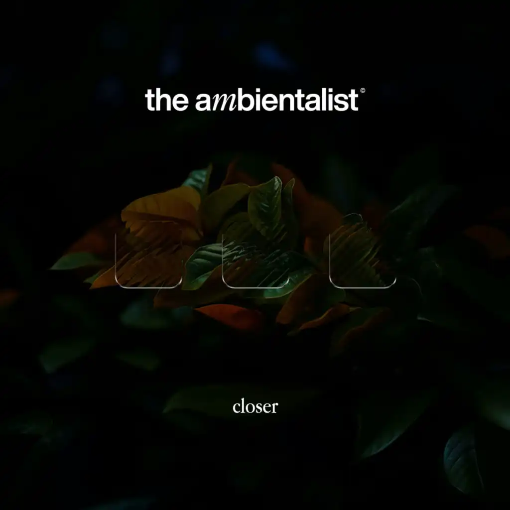 The Ambientalist