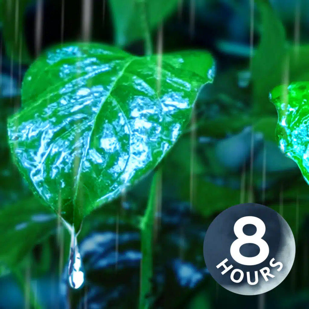 White Noise of Heavy Rain Lulls You To Sleep | 8 Hours