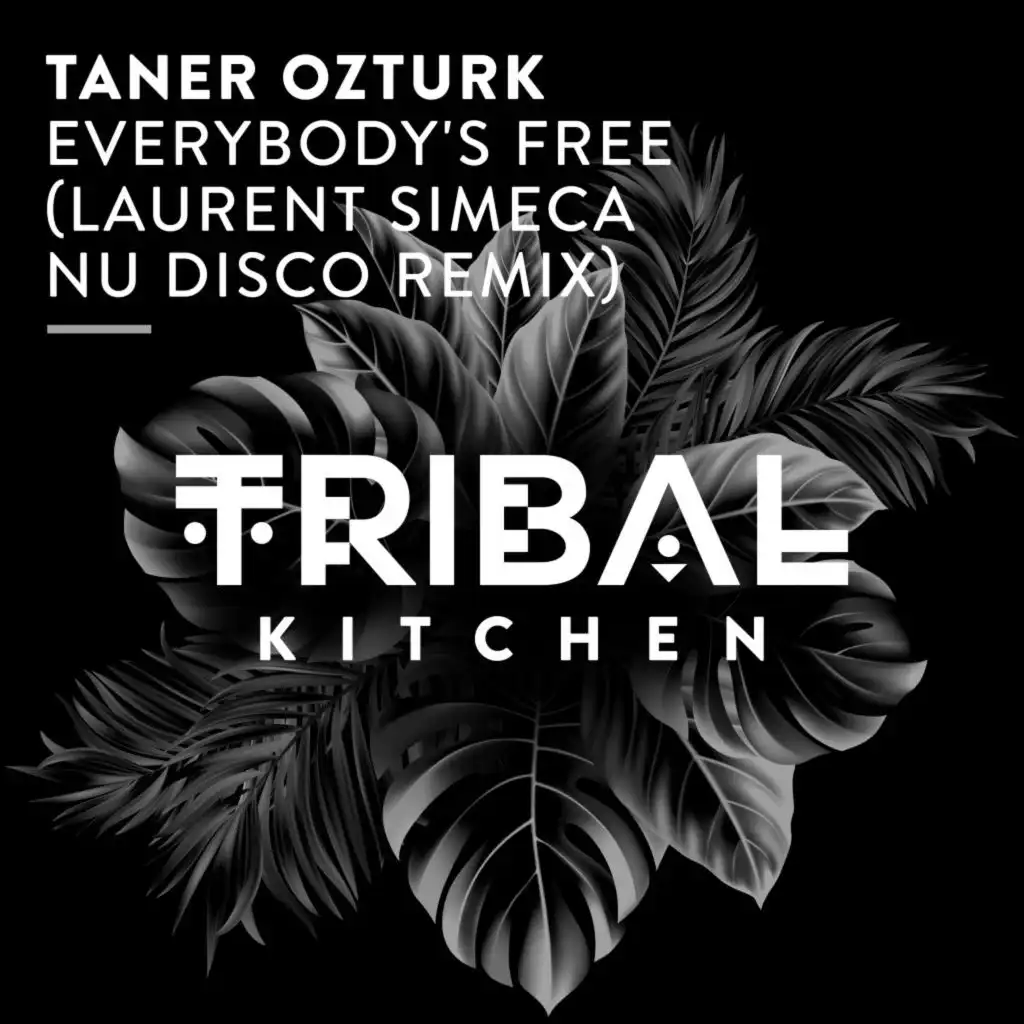 Taner Ozturk