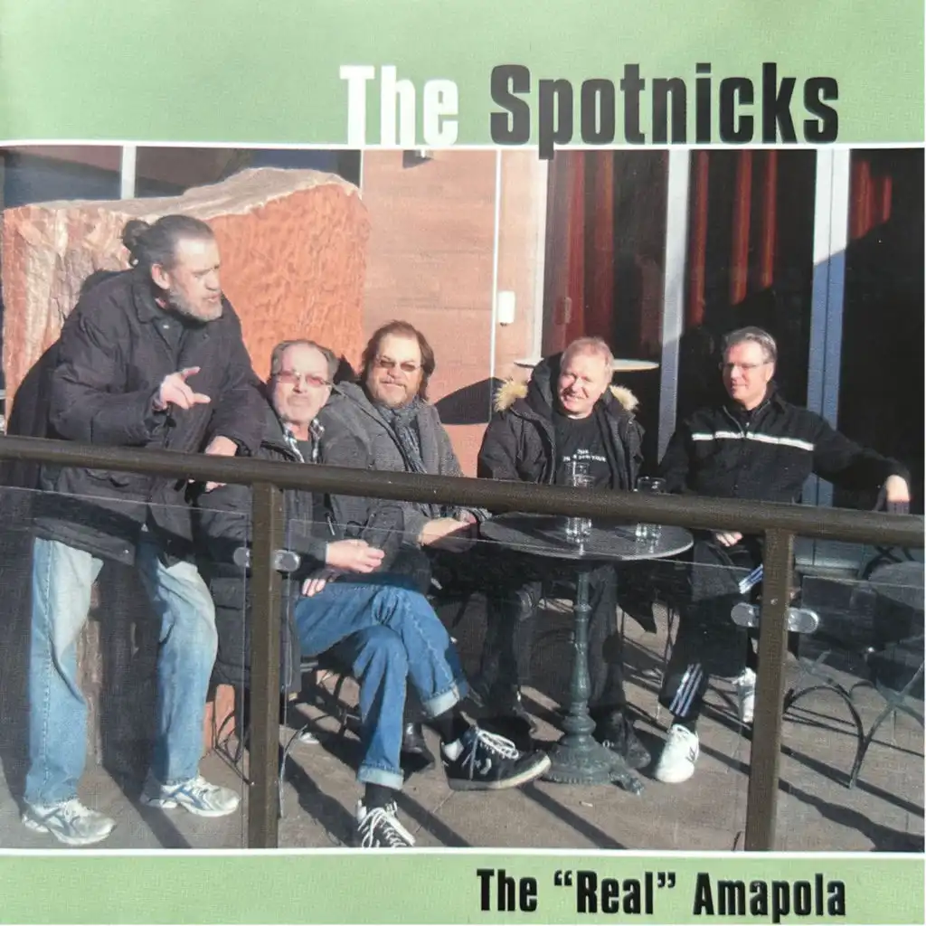 The Spotnicks