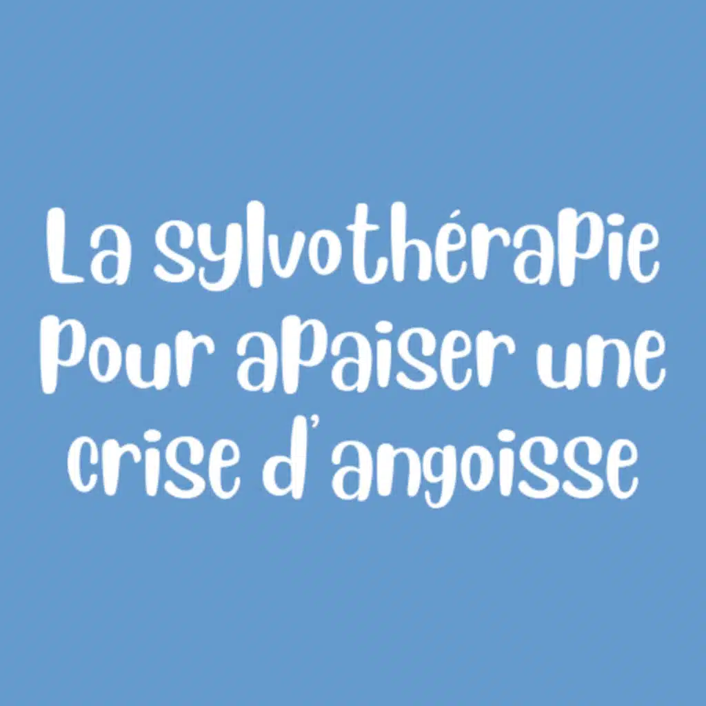 (38) Sylvothérapie : 5 Techniques Naturelles pour Calmer une Crise d’Angoisse en Pleine Nature