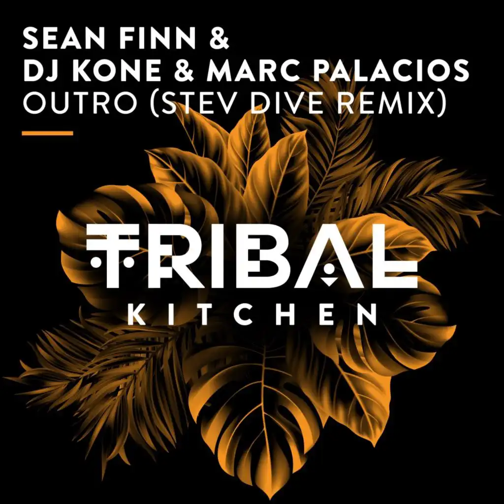 Sean Finn & DJ Kone & Marc Palacios