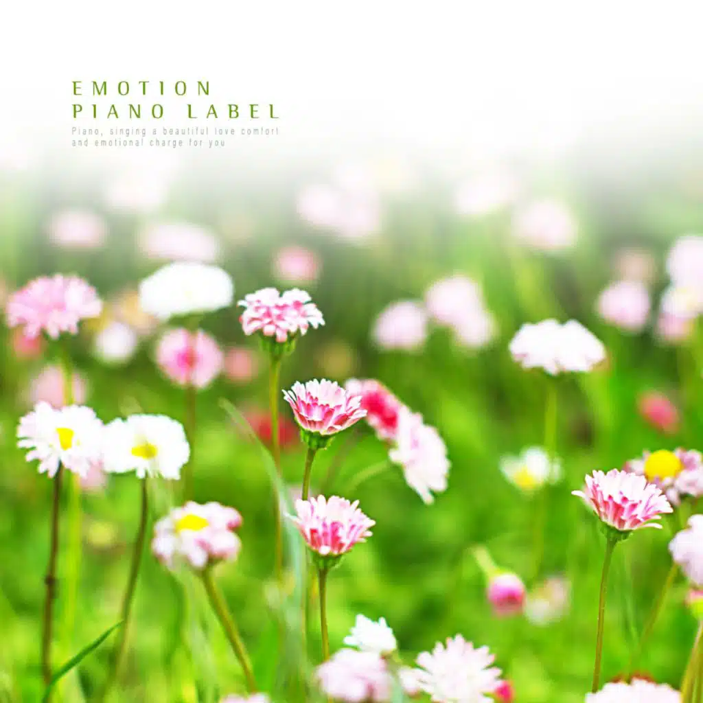 Spring Fairy (Nature Ver.)