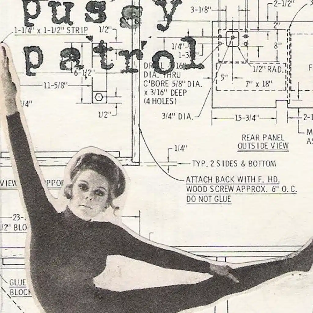 Pussy Patrol