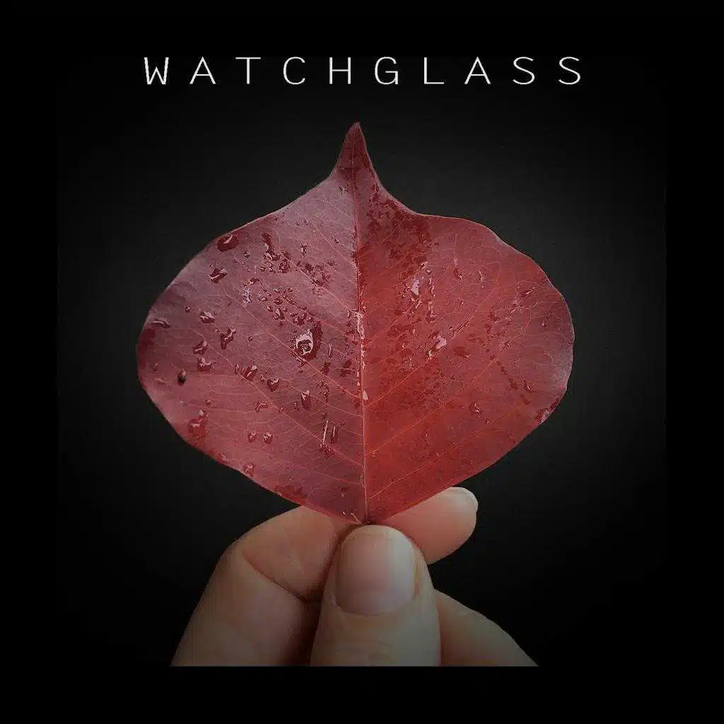 Watchglass