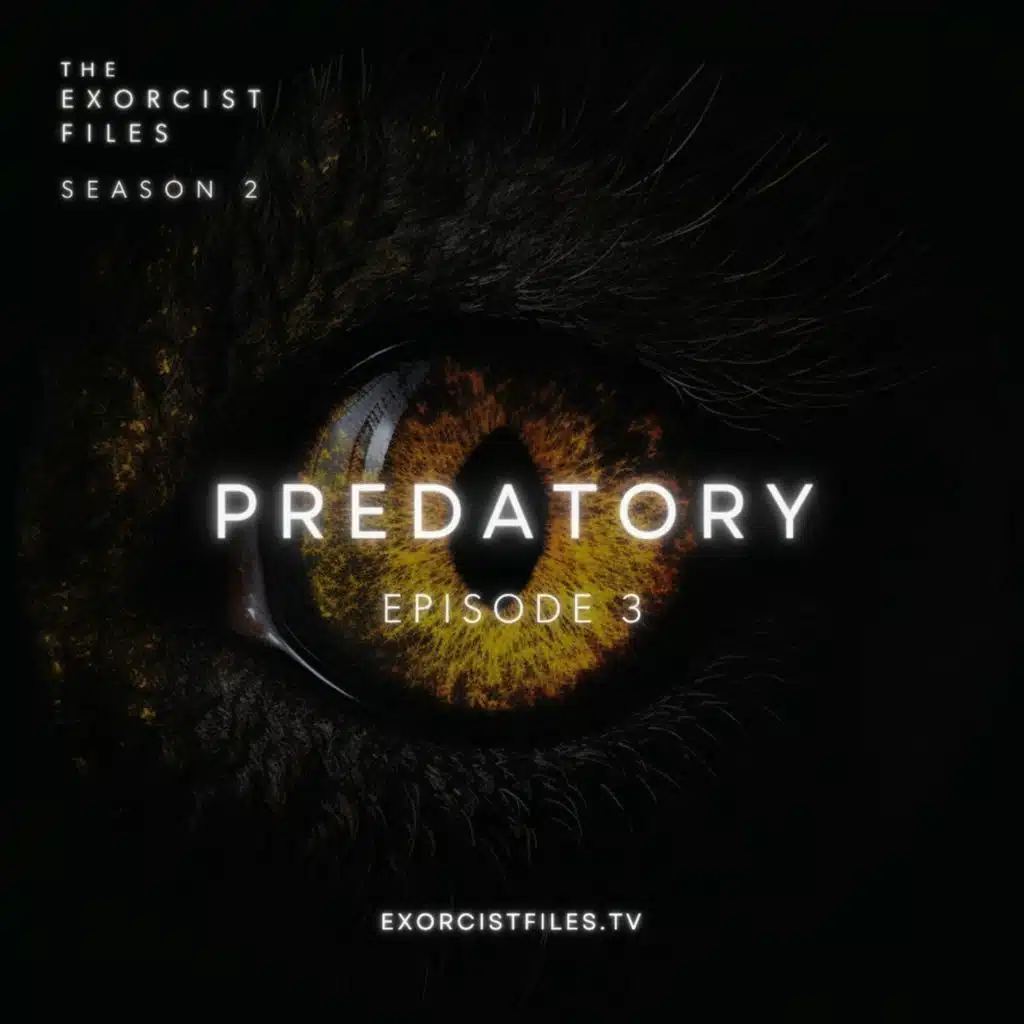 S2-Case #08-Predatory