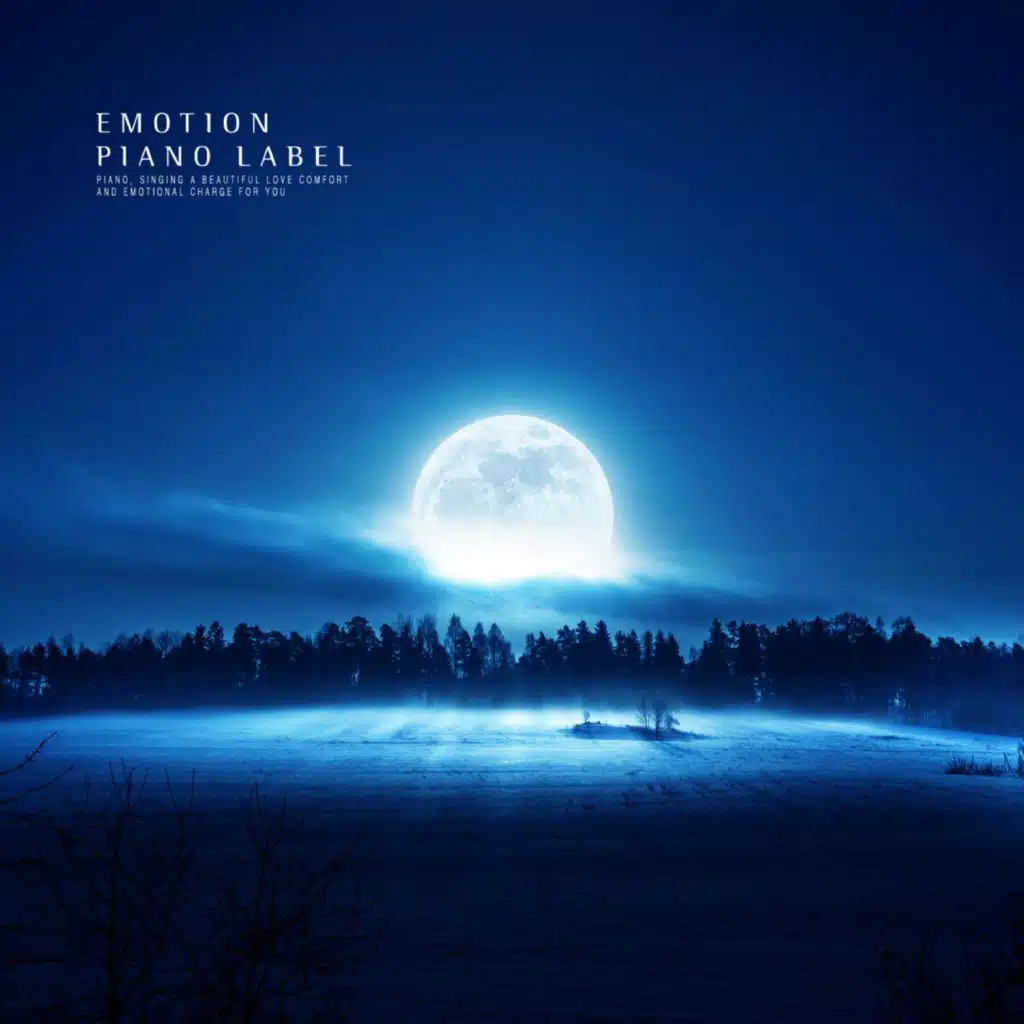 Beautiful Piano Collection With A Sound Of The Night (Nature Ver.)
