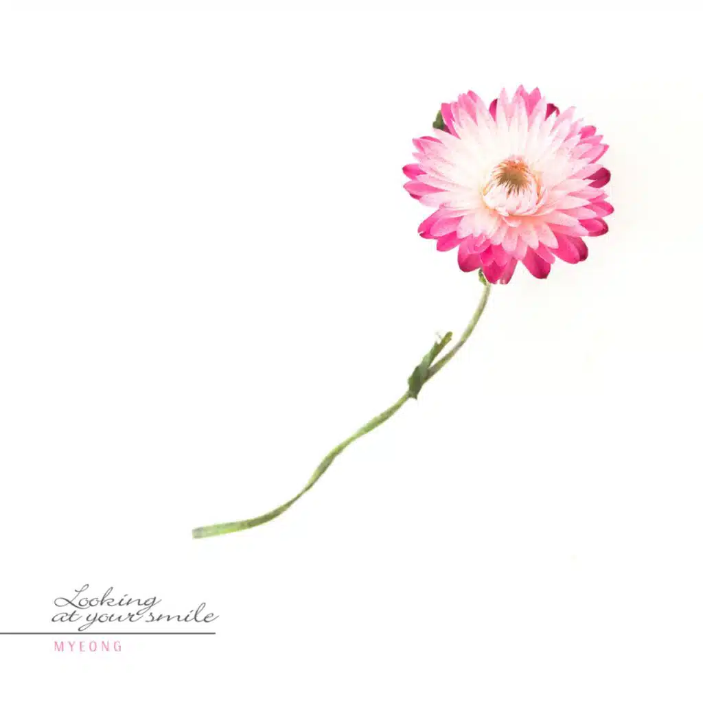 Looking At Your Smile