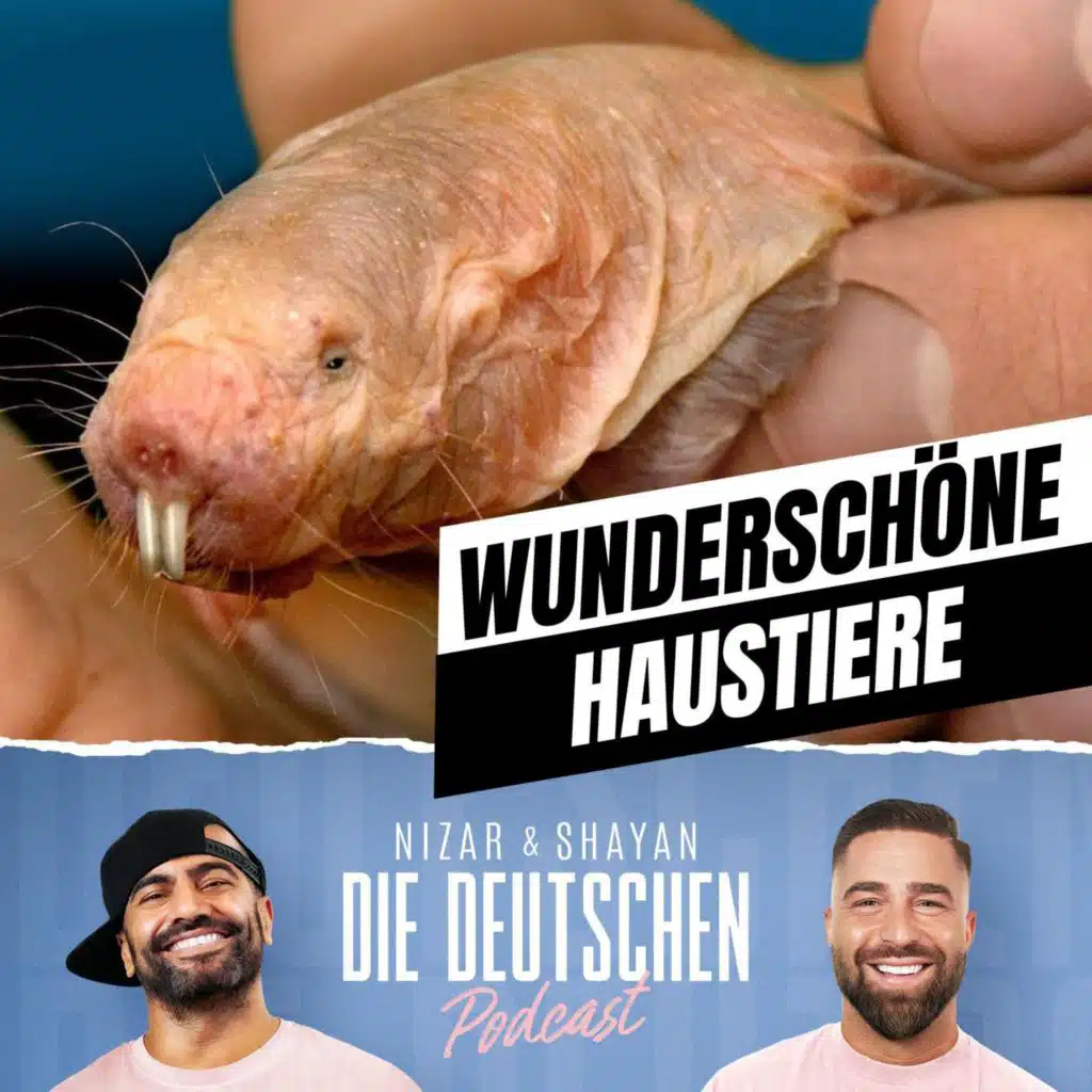 Suspekte Haustiere | #472