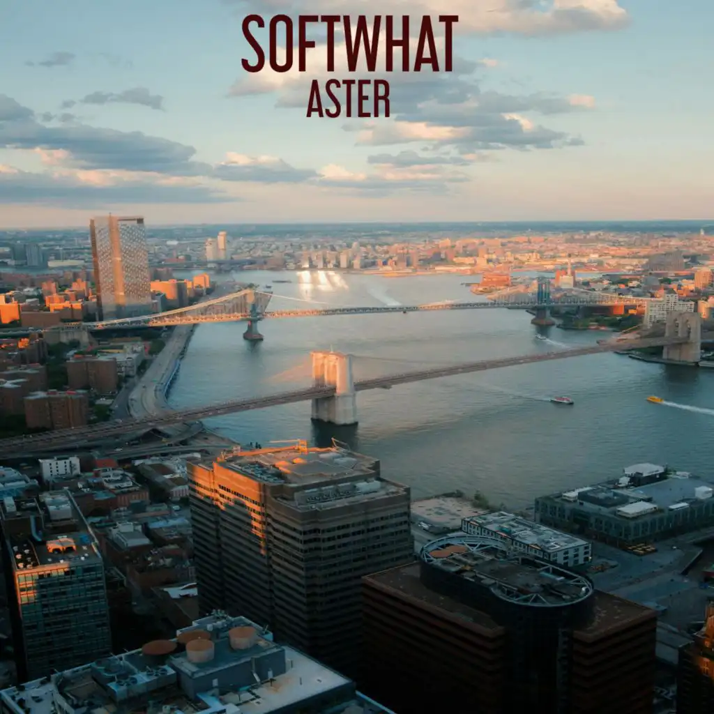 Softwhat