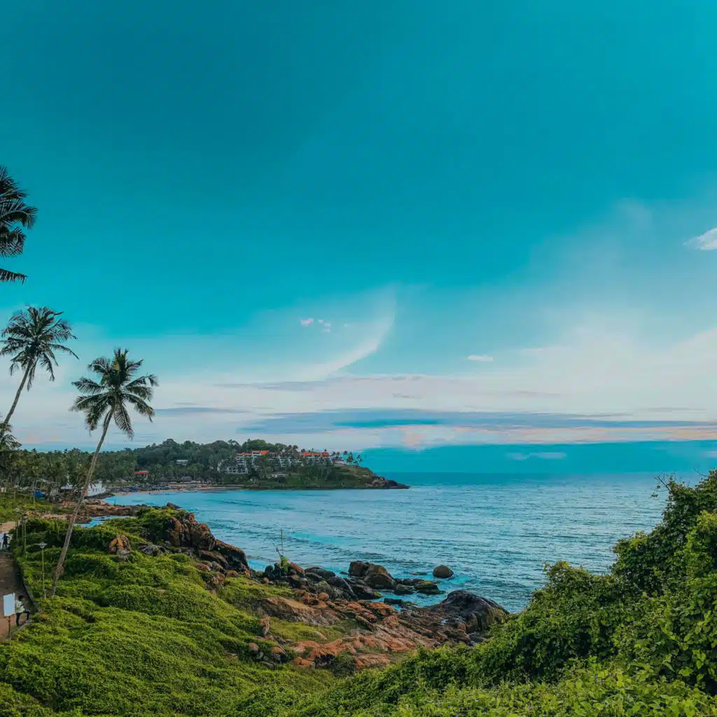 365 Coastal:  Tropical Cove