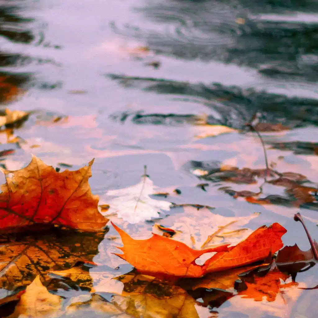 1 Rainy Night: Tranquility