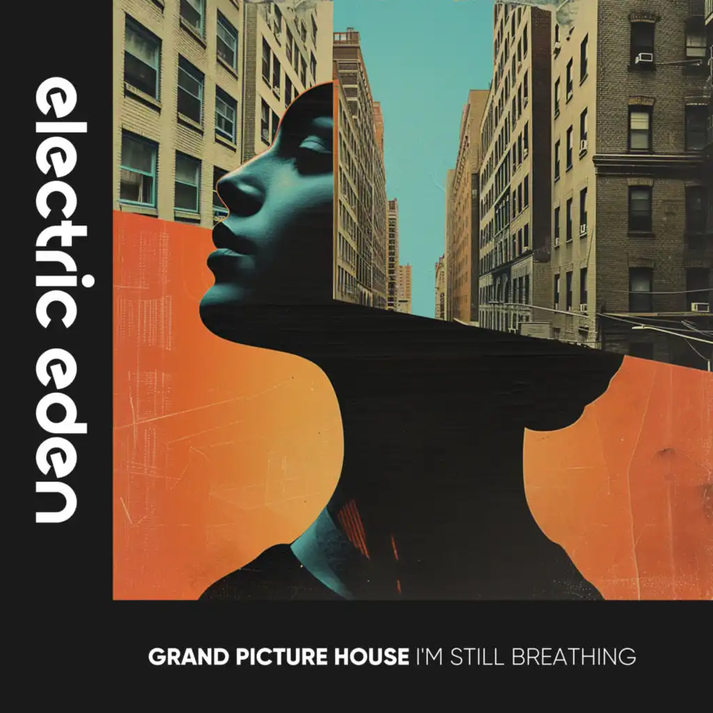 Grand Picture House