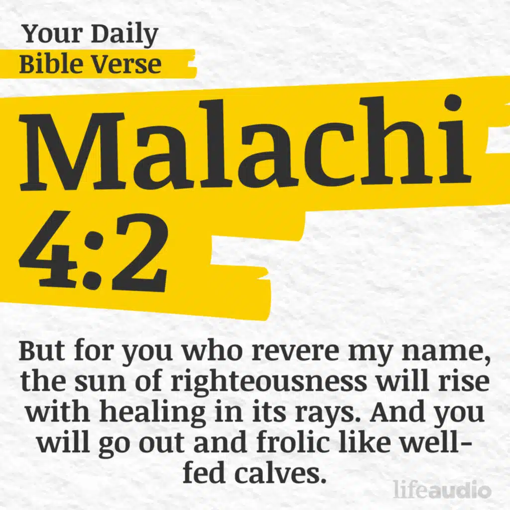 Living in the Son's Light (Malachi 4:2)