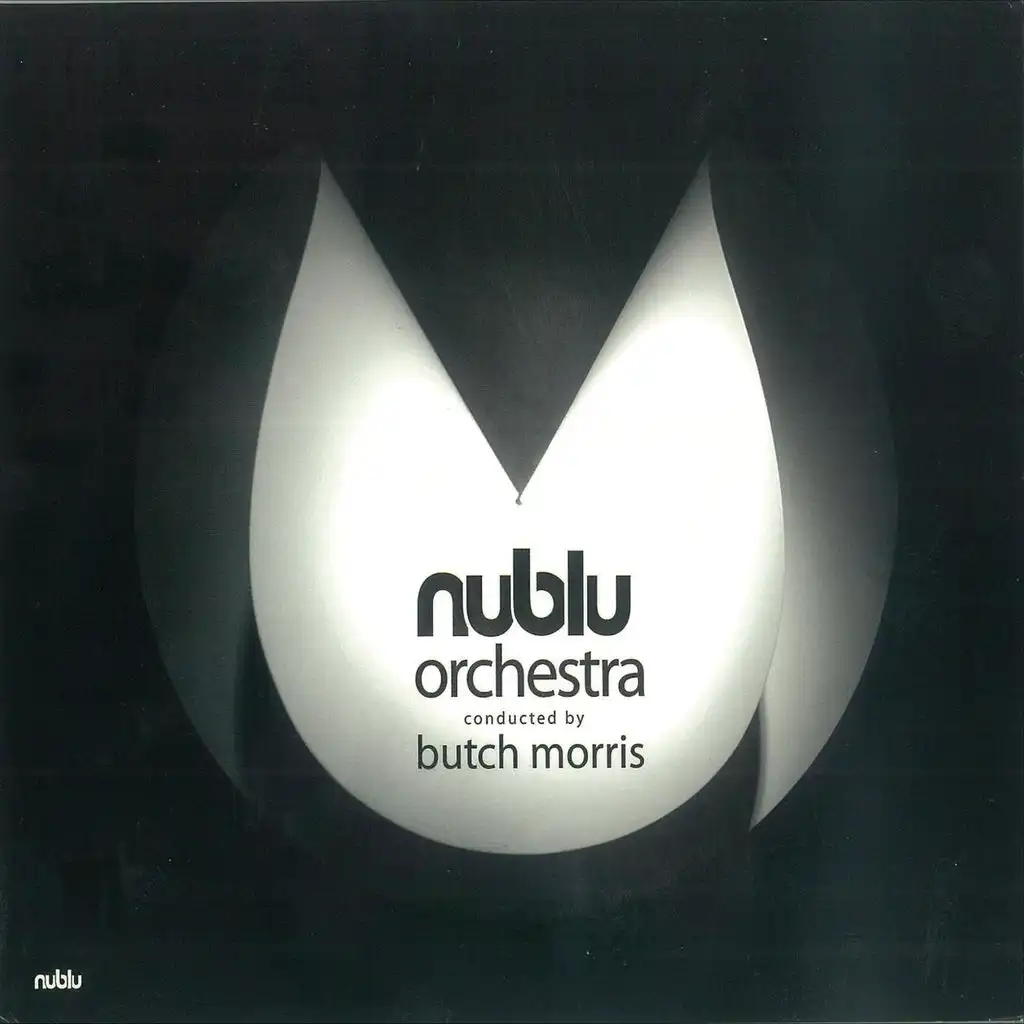 Nublu Orchestra