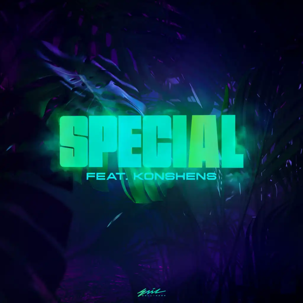 Special  (Instrumental) (Intsrumental)