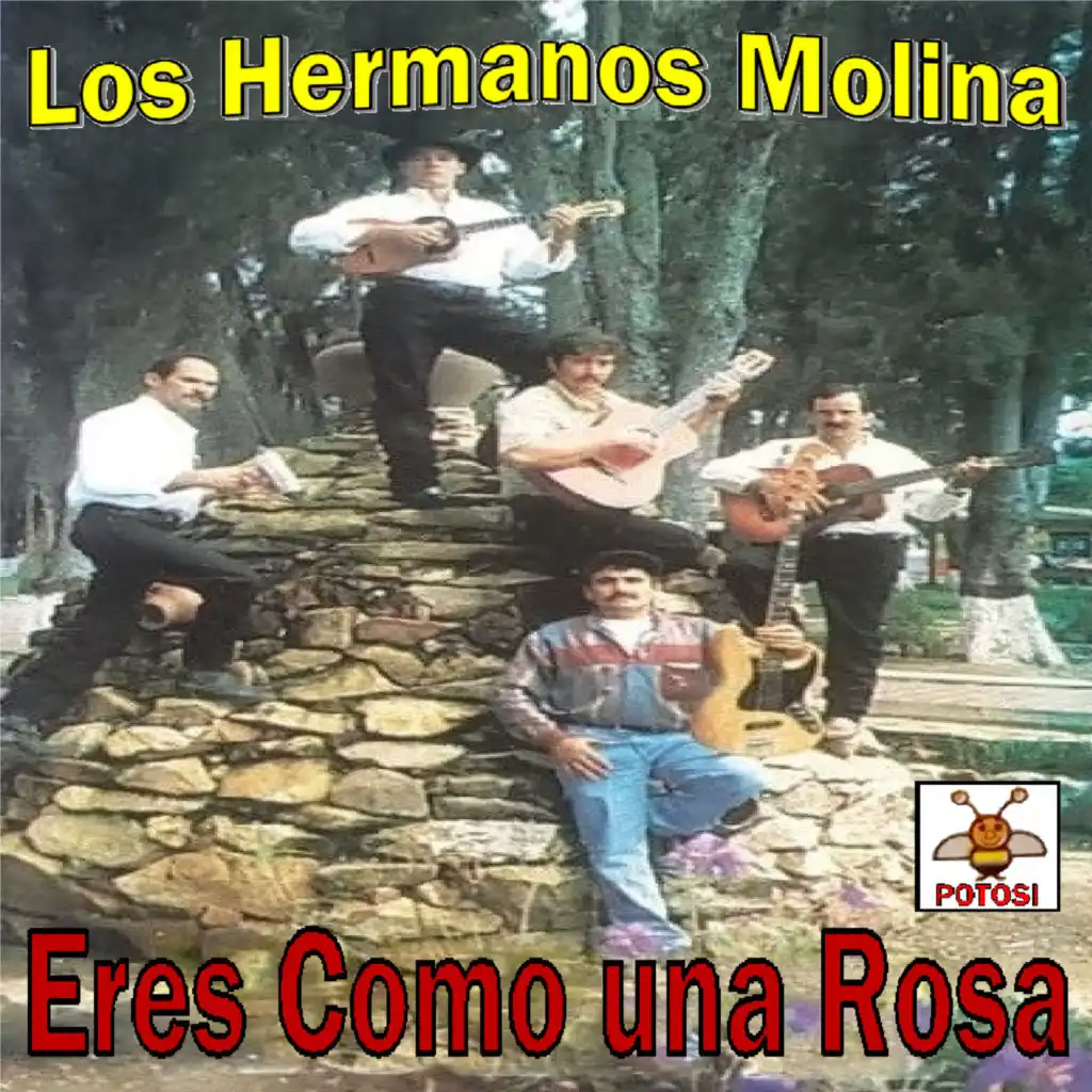 Los Hermanos Molina