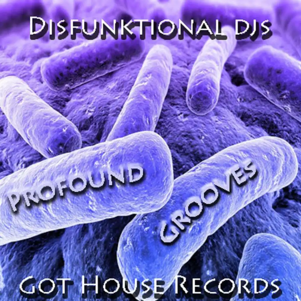 Profound Grooves (Original Mix)