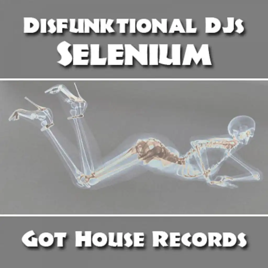 Selenium (Original Mix)