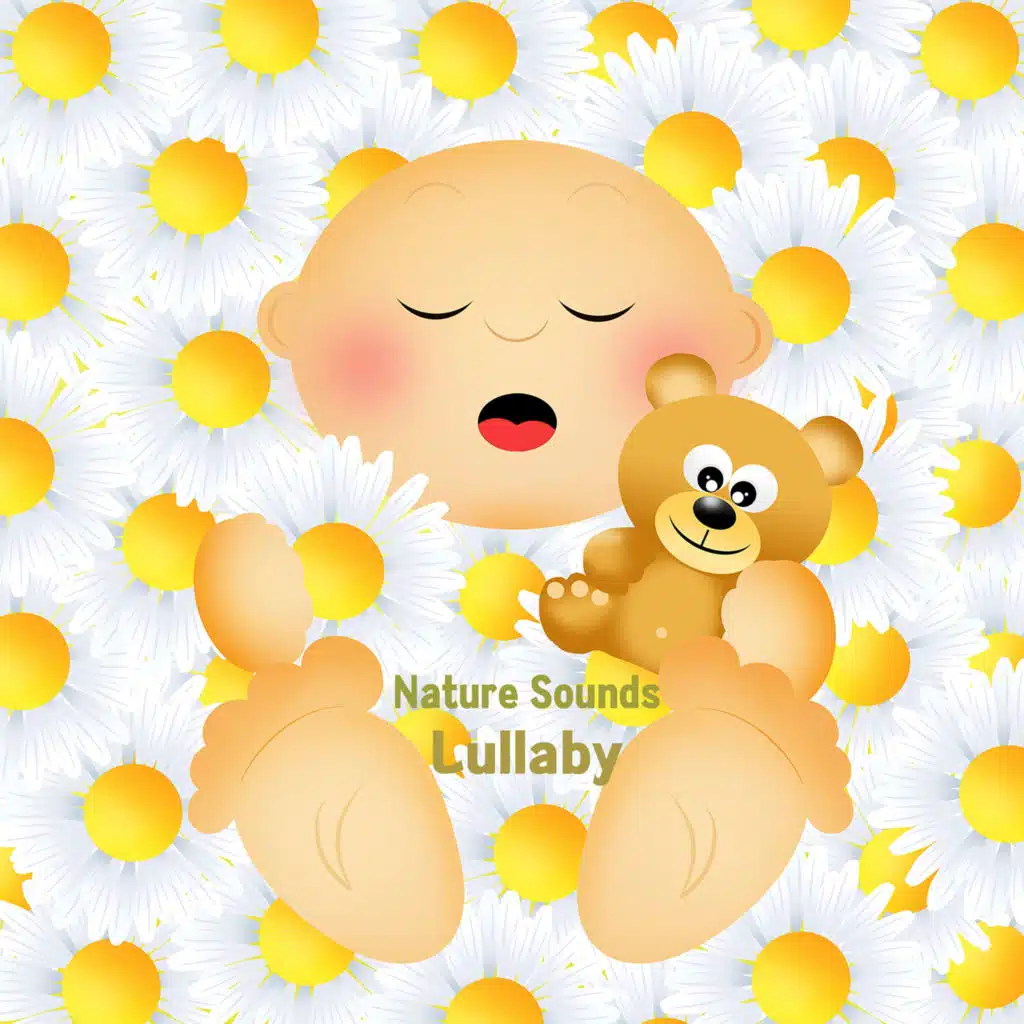 참새의 자장가 (오르골) (새소리)