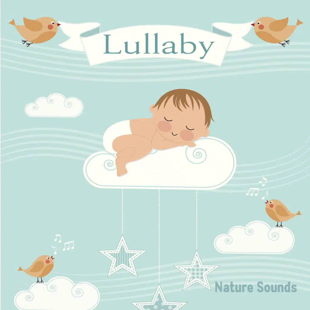 라임라이트, 멜로디 이펙트, 어반 포레스트 & Acoustic Paradiso