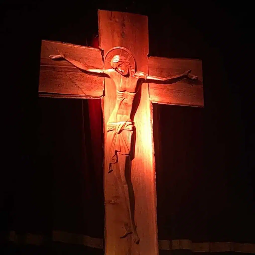 في ظل جناحيك