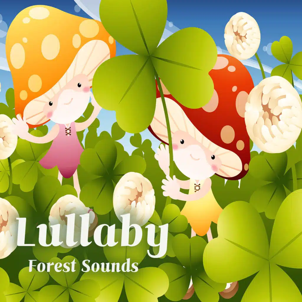 빗방울 왈츠 (오르골) (빗소리)