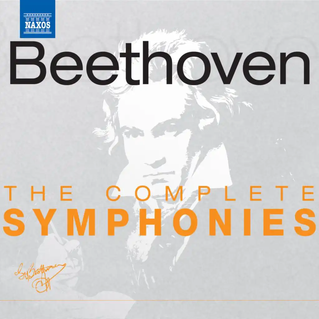 Symphony No. 1 in C Major, Op. 21: II. Andante cantabile con moto