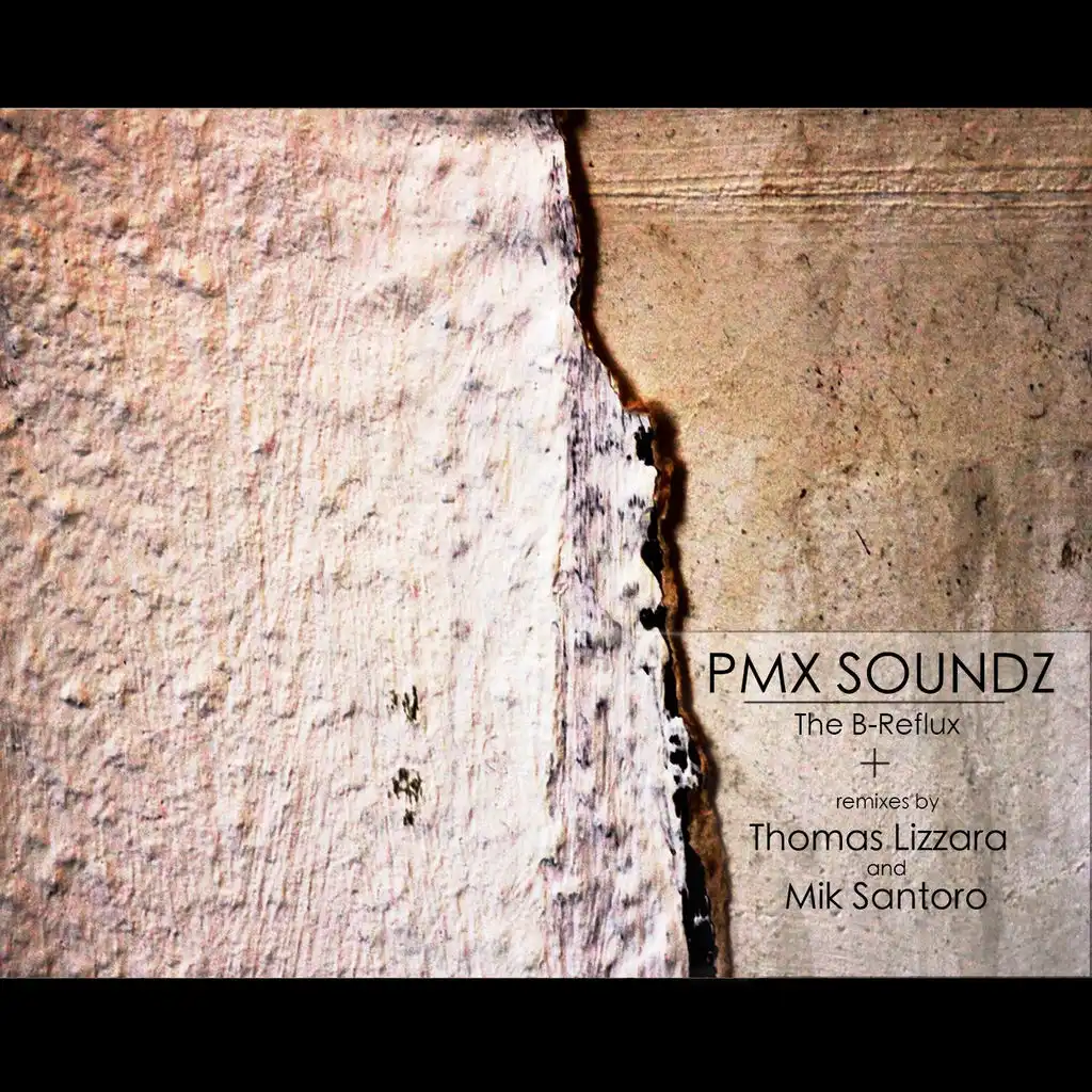 The B-Reflux (Thomas Lizzara Remix)