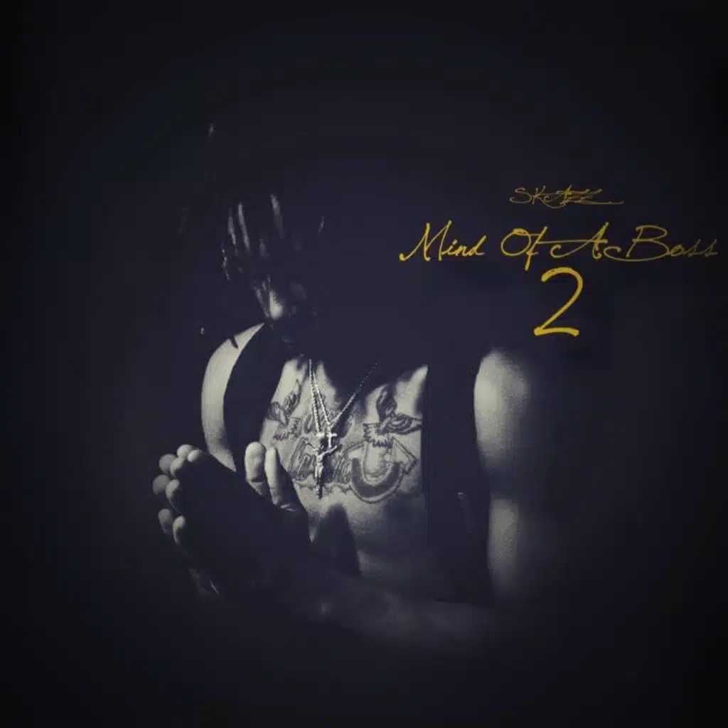 Mind Of A Boss 2