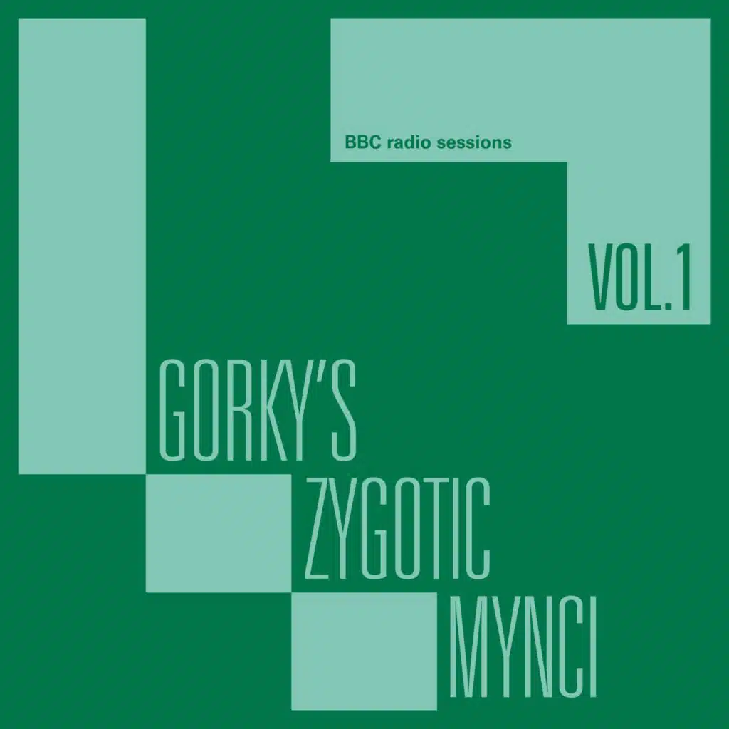 Gorky's Zygotic Mynci