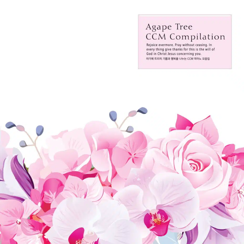 CCM piano collection that shares joy and happiness of agape tree