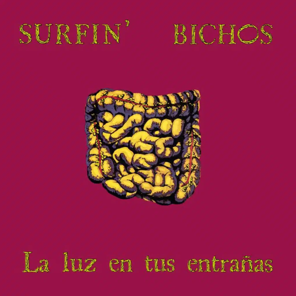 Surfin' Bichos