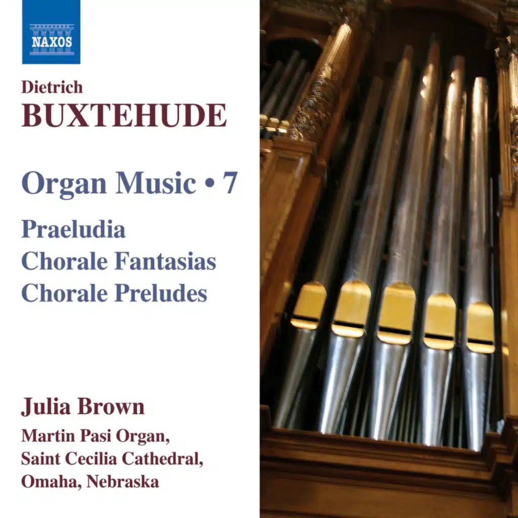 Buxtehude: Organ Music, Vol. 7