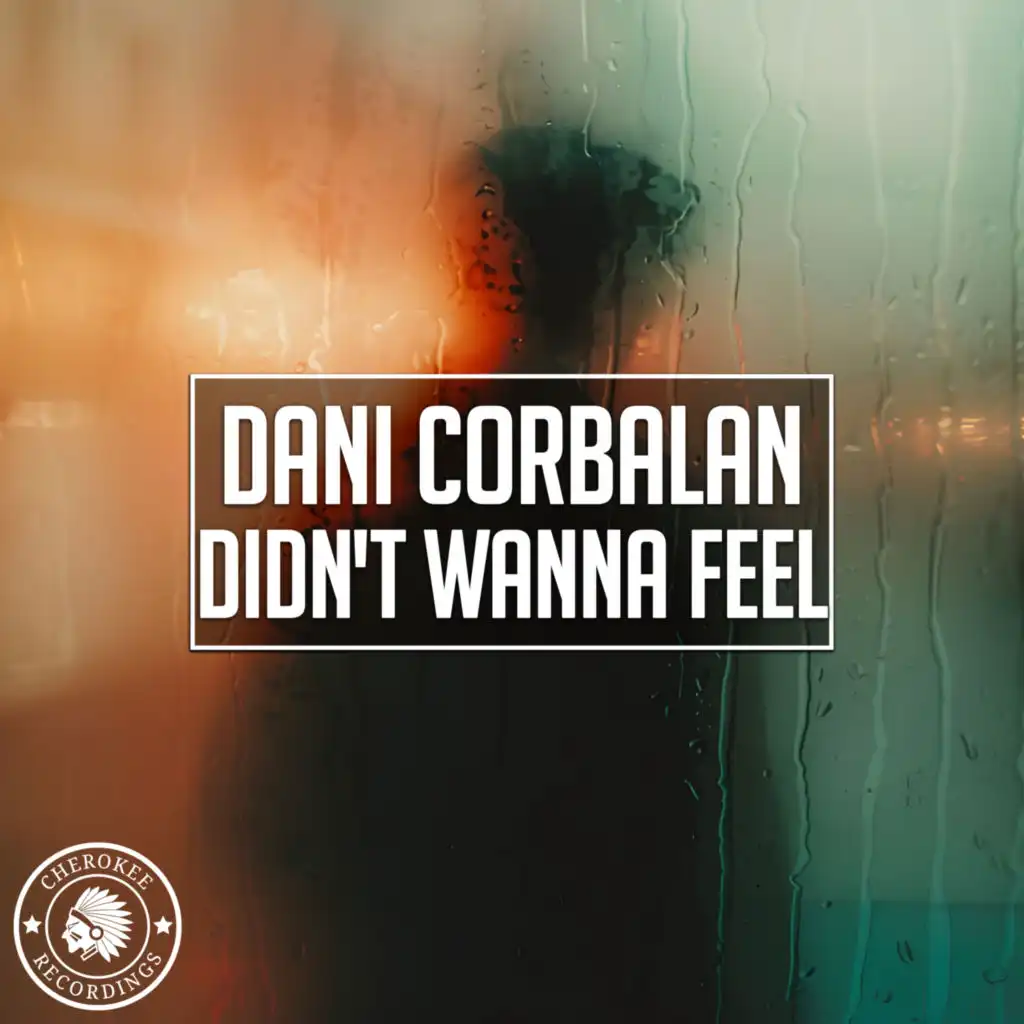 Didn't Wanna Feel (Extended Mix)