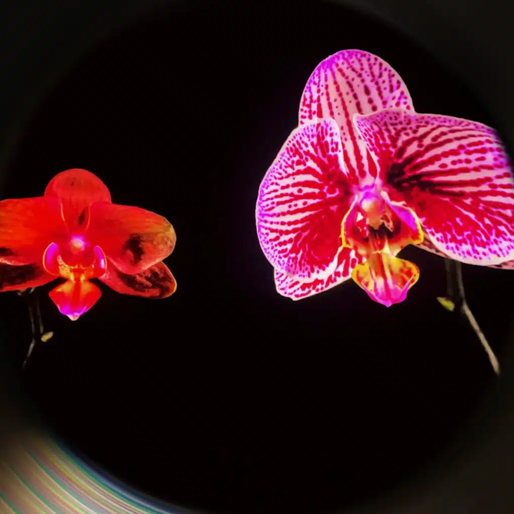 Life Is Too Stressful Vol.3