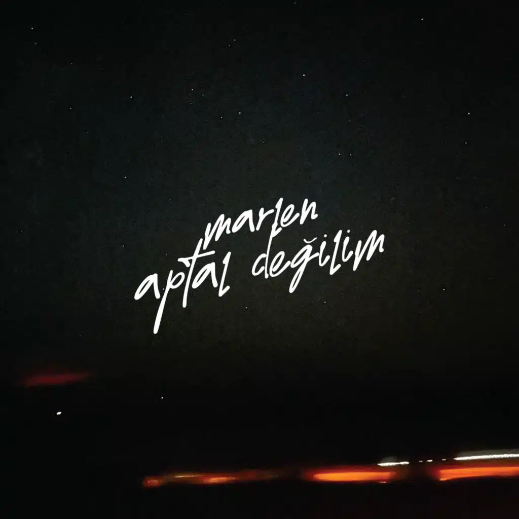 Aptal Değilim