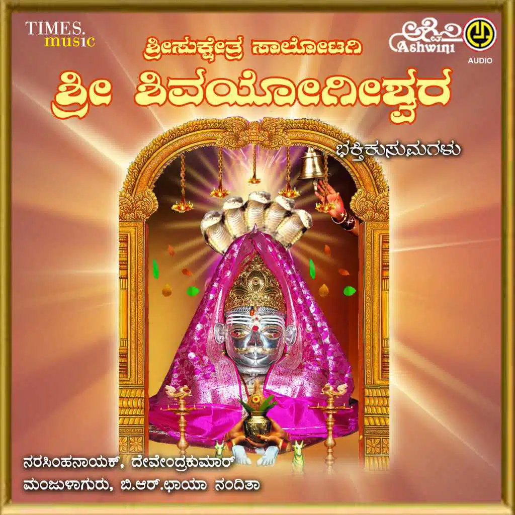 Sri Sukshetra Salotagi Sri Shivayogishwara