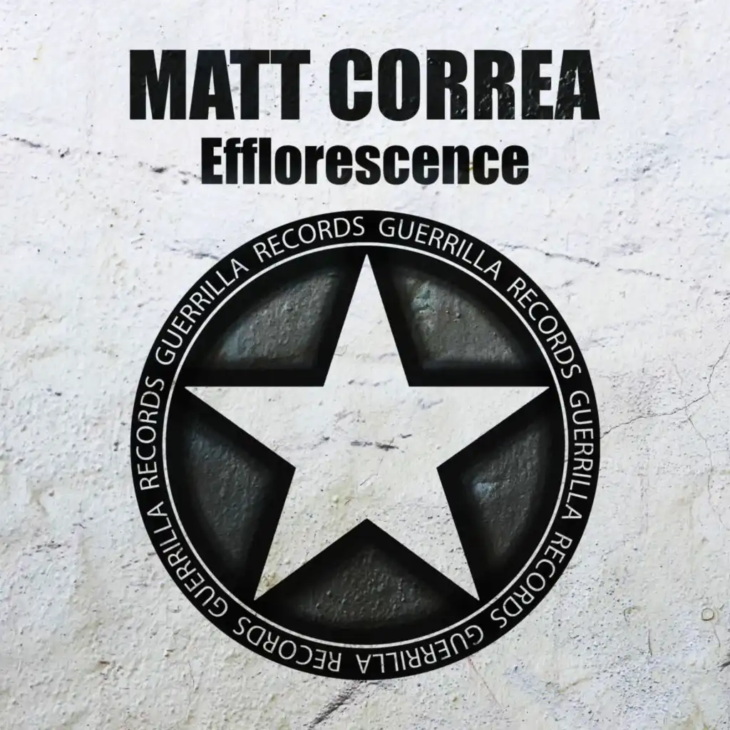 Matt Correa