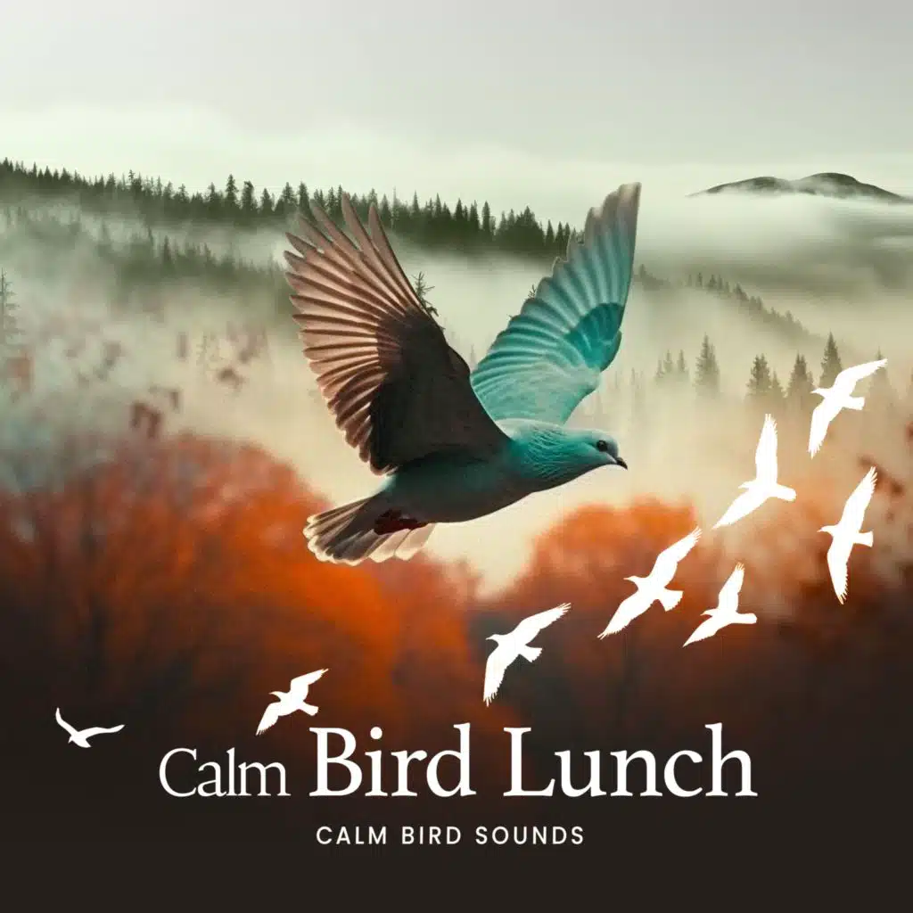 Calm Bird Sounds