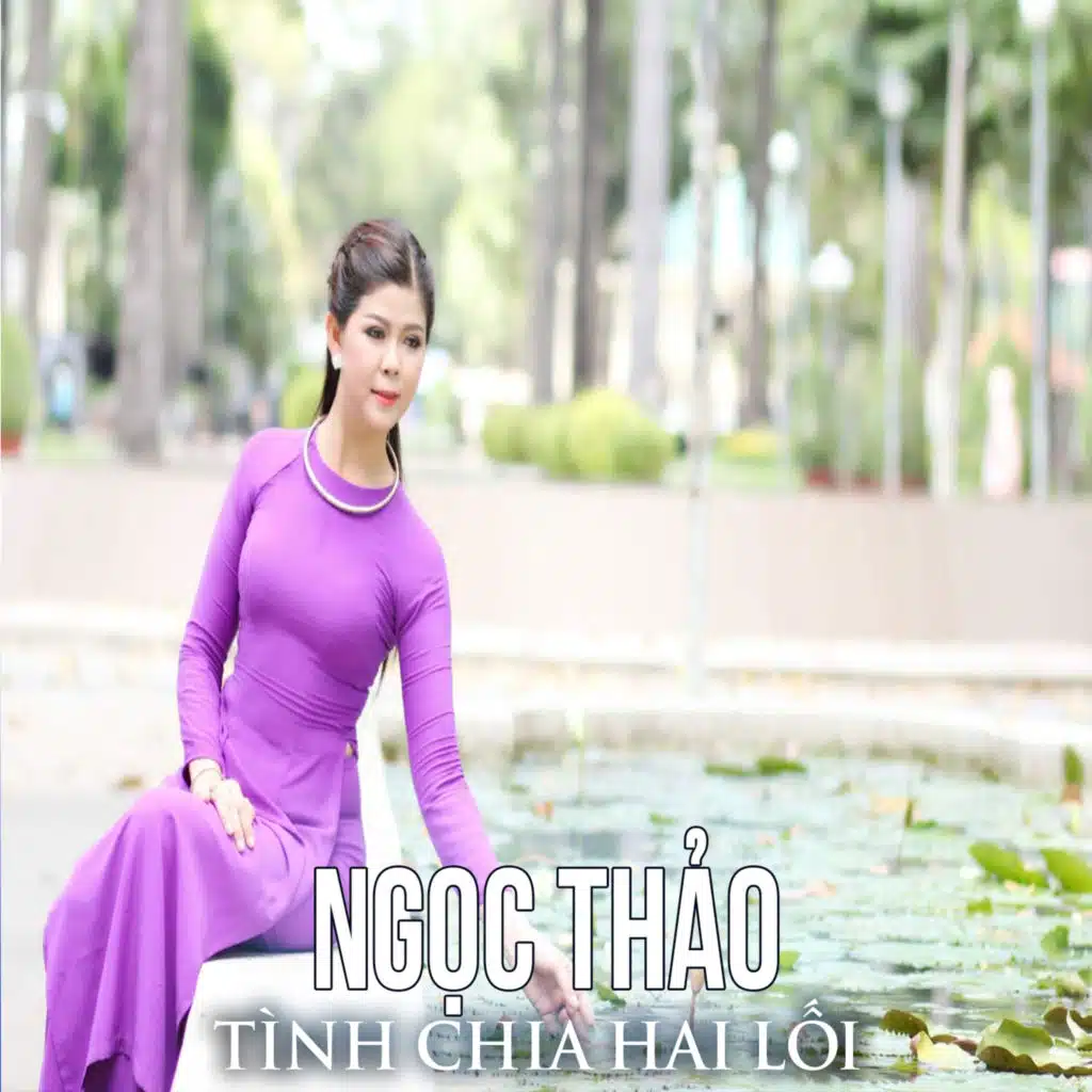 Tình Chia Hai Lối