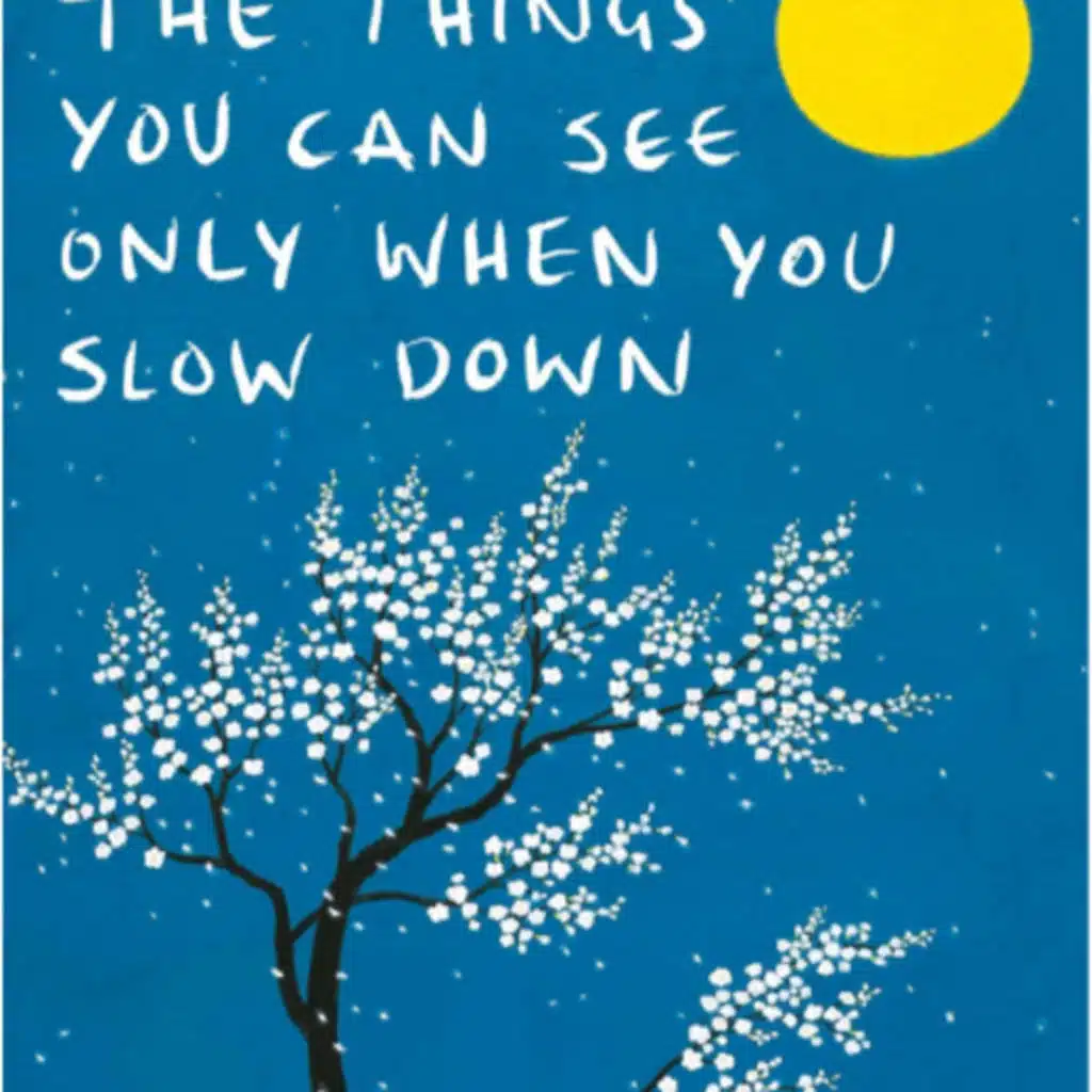 The Things You Can See Only When You Slow Down -Book Summary 